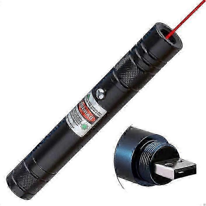 Usb Laser Pointer, Green Light Red Light Laser Flashlight ,Coach Laser Light