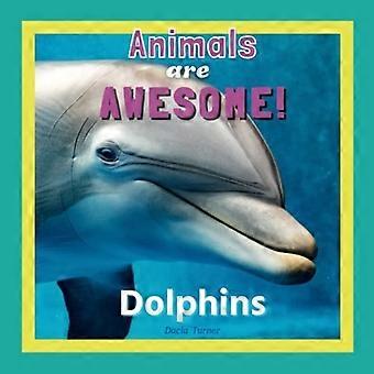 Gli animali sono fantastici! I delfini
