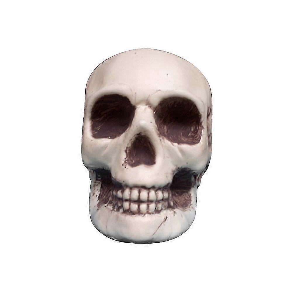 Halloween Skull Plastic Skull Props compatible with Decorating 3Pcs Skeleton Head