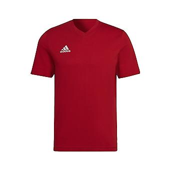 Adidas Entrada 22 HC0451 trening hele året menn