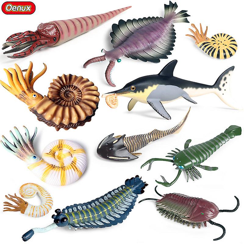 海洋動物モデル先史時代の三葉虫エビ菊と石カンブリア紀オウムガイ科プレートフットクラブ子供教育玩具モデル