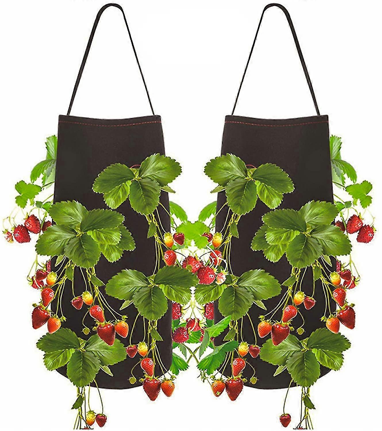 EVAGO 2pcs Strawberry Planting Bag, Potato Planting Bag, Vegetable Garden Bag With Window And Handle For Strawberries, Tomatoes, Vegetables