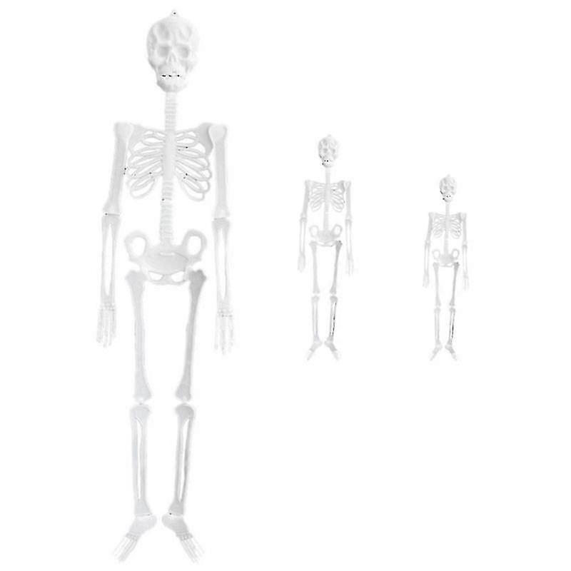 3pcs Halloween Skeleton For Halloween Decor