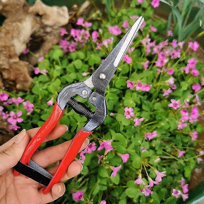 Gardening Tools With Plastic Handle Grape Fruit Picking Scissors Flower Vegetable Branch Cutting