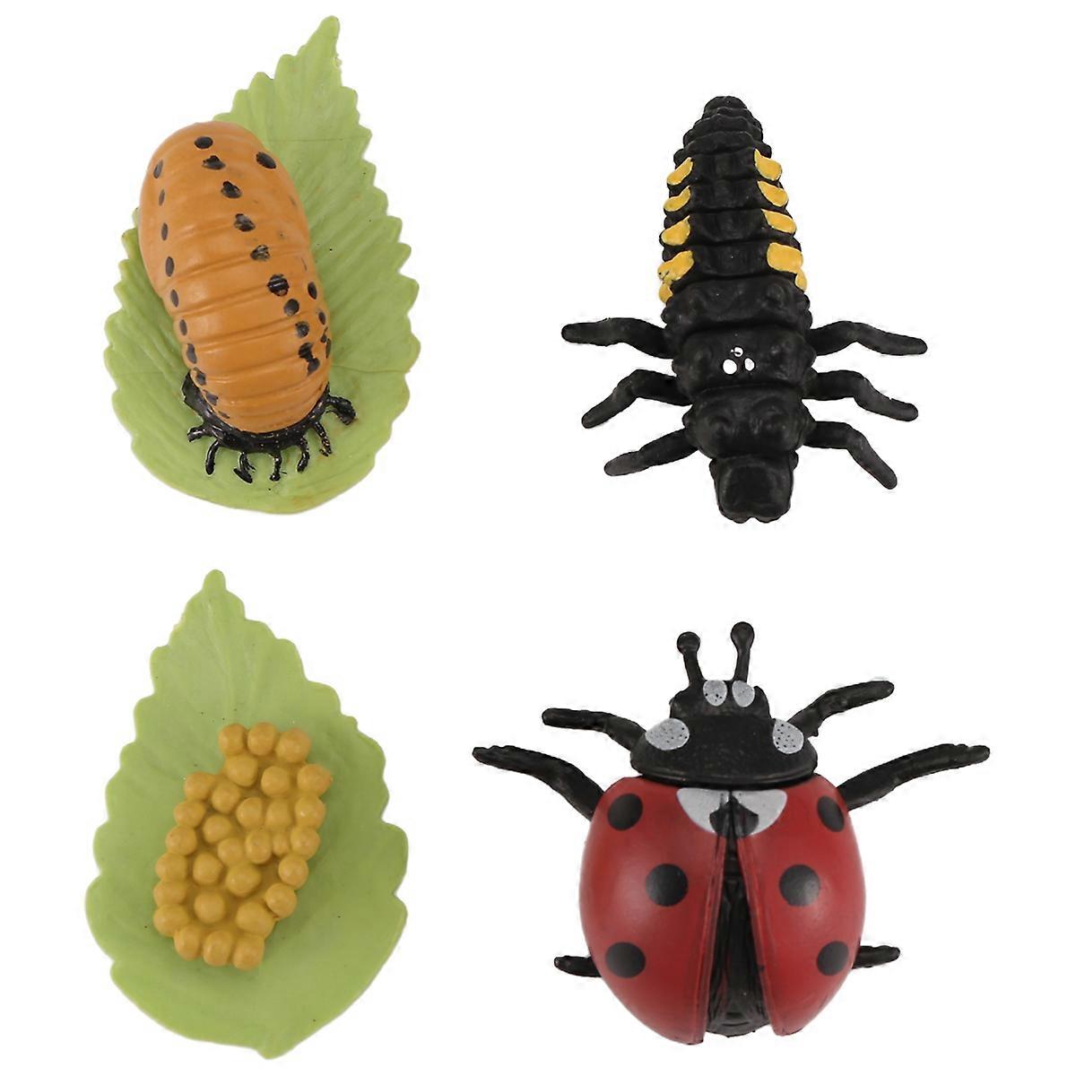 Life Cycle Figurines of Butterfly Spider Bee Ladybug Dragonfly, Toy