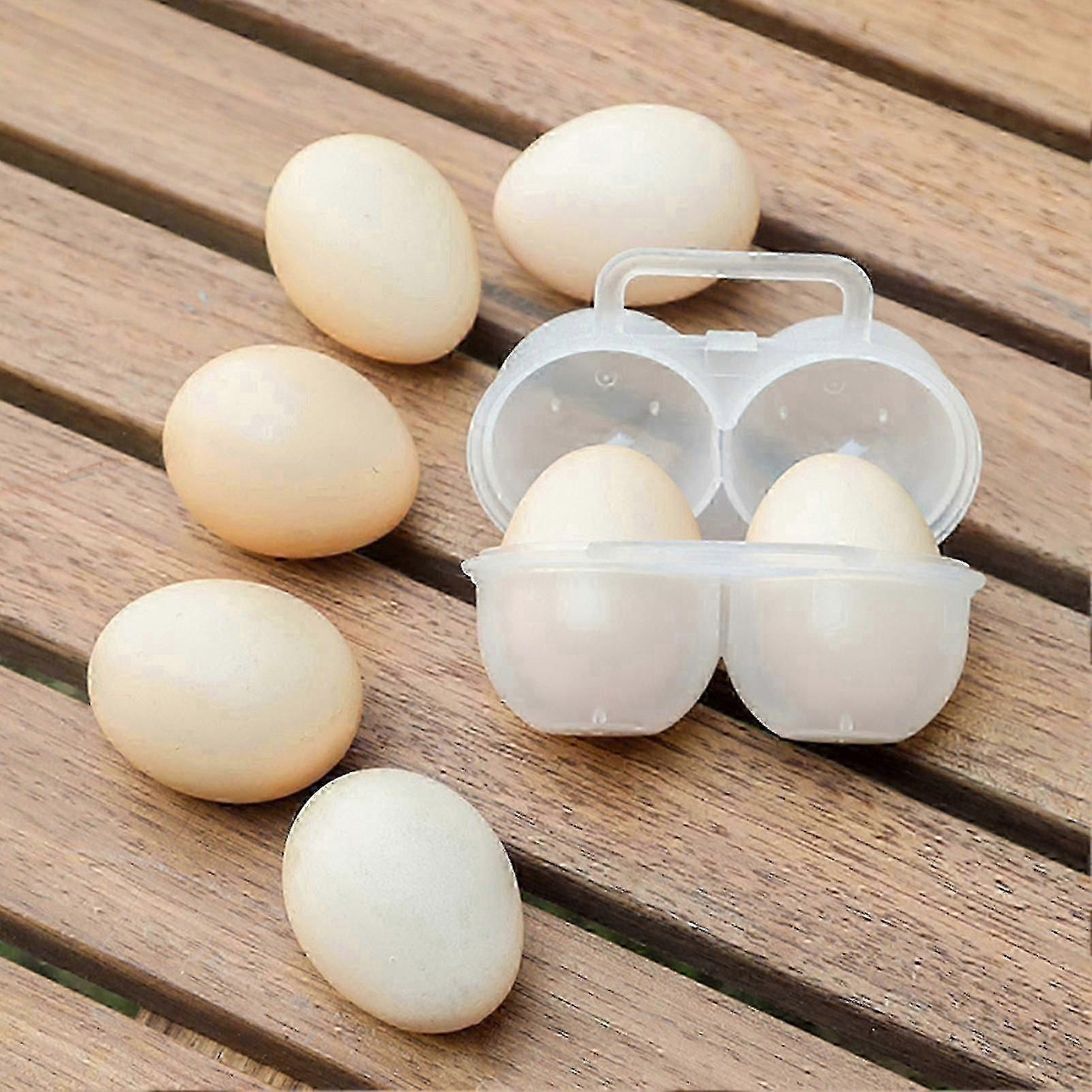 Egg Box Portable With Handle Shockproof Anti-drop 2 Grids Special Egg Container Plastic Egg Tray Daily Use