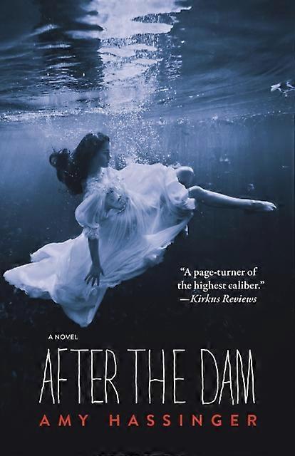 After The Dam - Amy Hassinger