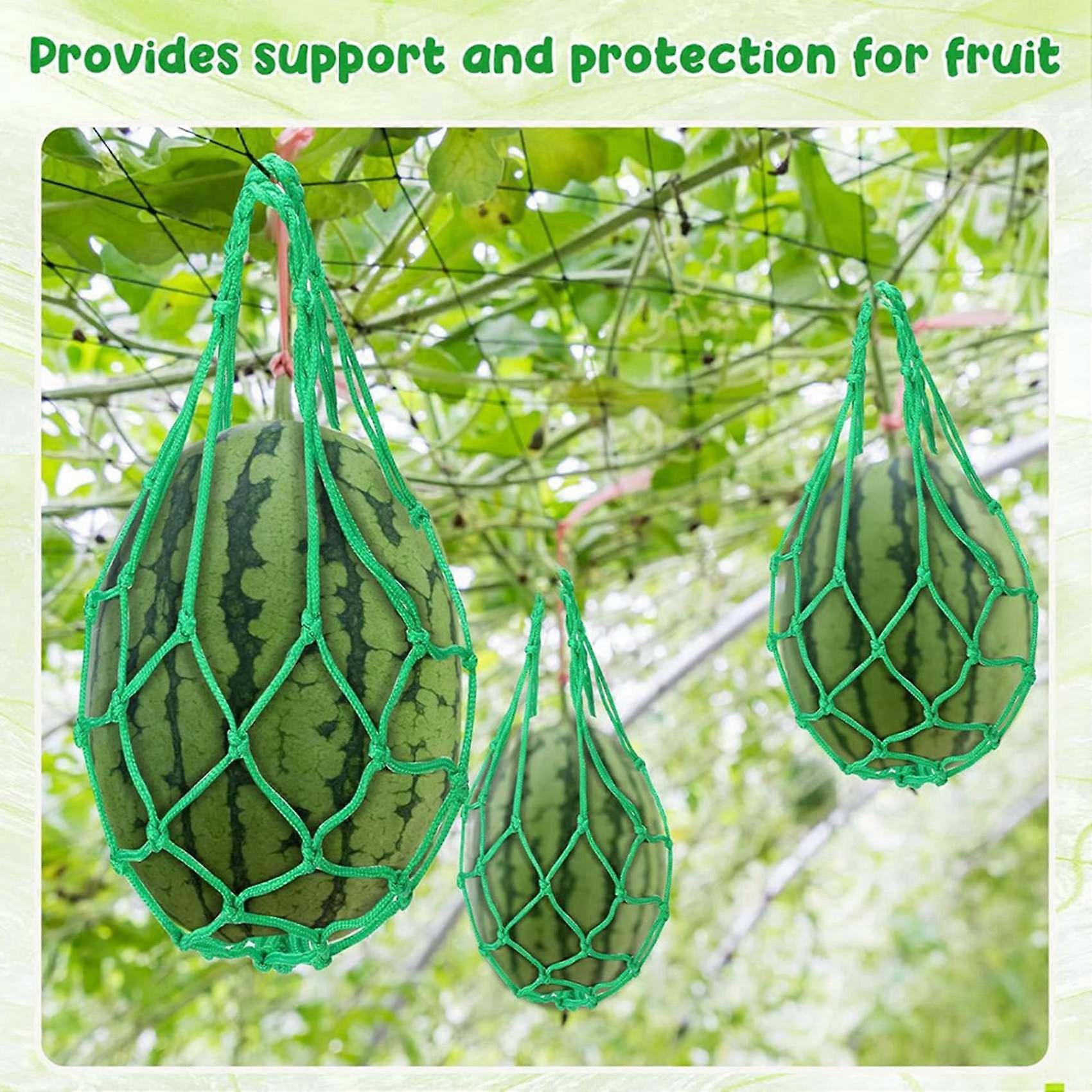 24 Pcs Watermelon Net Melon Hammock Melon Cradle Plant and Garden Supports Pumpkin Support Hanging Bag Protects Green