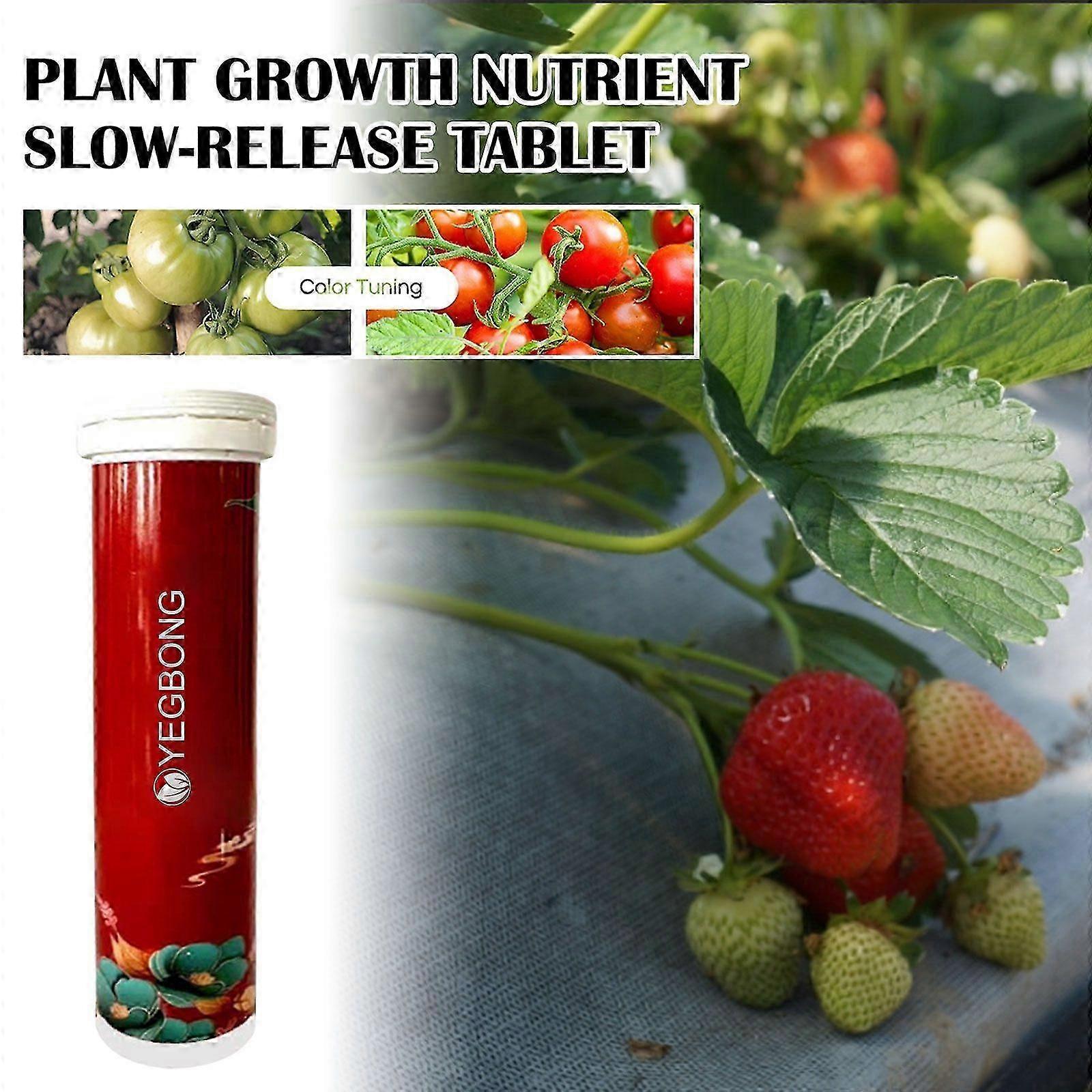 plant Growth Nutrition sustained-release tablets