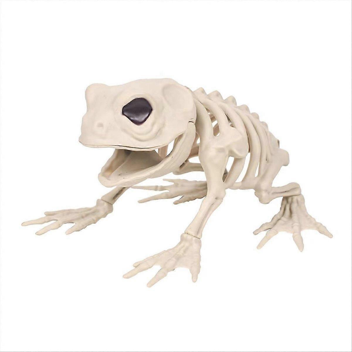 Skeleton Frog Halloween Decorations - Posable Skeleton Animals
