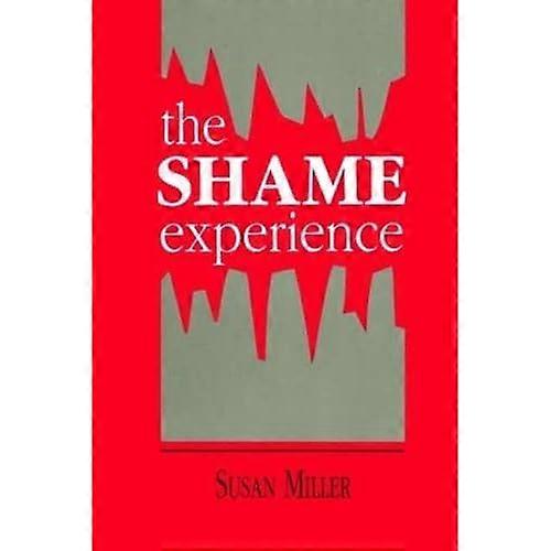 The Shame Experience