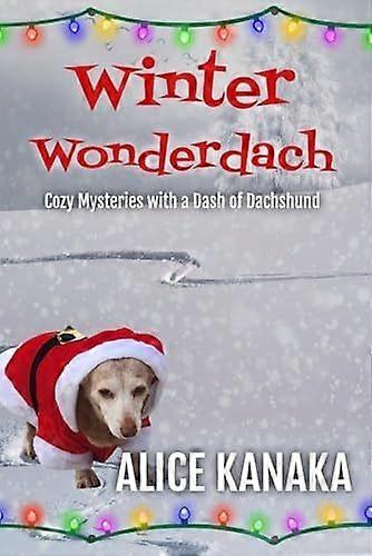 Winter wonderdach
