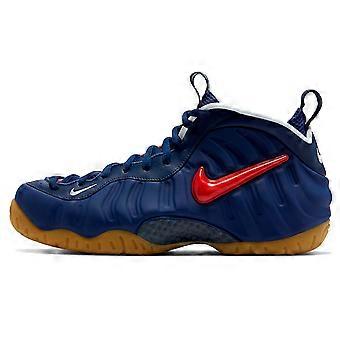 Nike Air Foamposite Pro 'USA' CJ0325-400