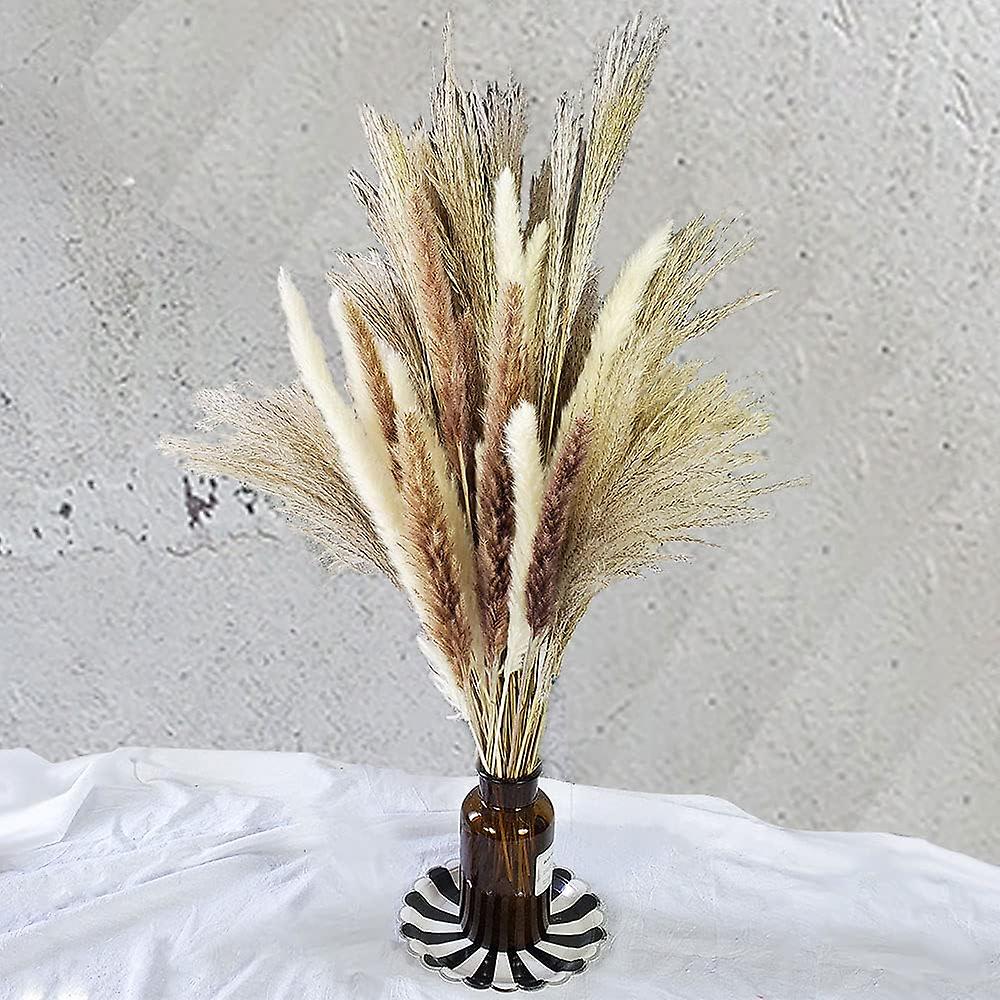 75 pieces - 20 pieces of white pampas and 20 pieces of brown pampas and 35 pieces of reed/natural dried pampas grass for flower arrangements home dec