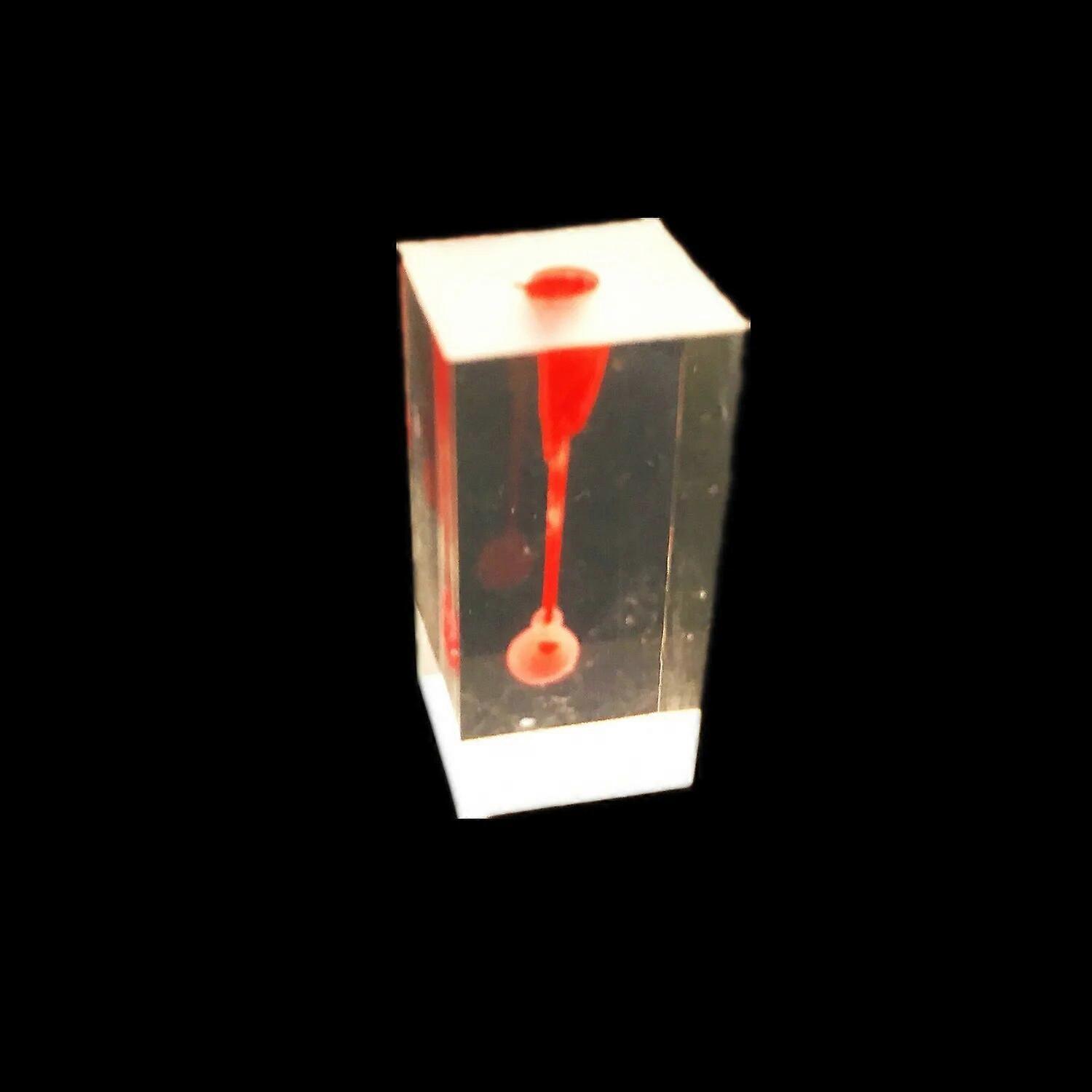 Dental Tooth Root Canal Practise Model For RCT Practice Medullary Cavity 1 Pulp