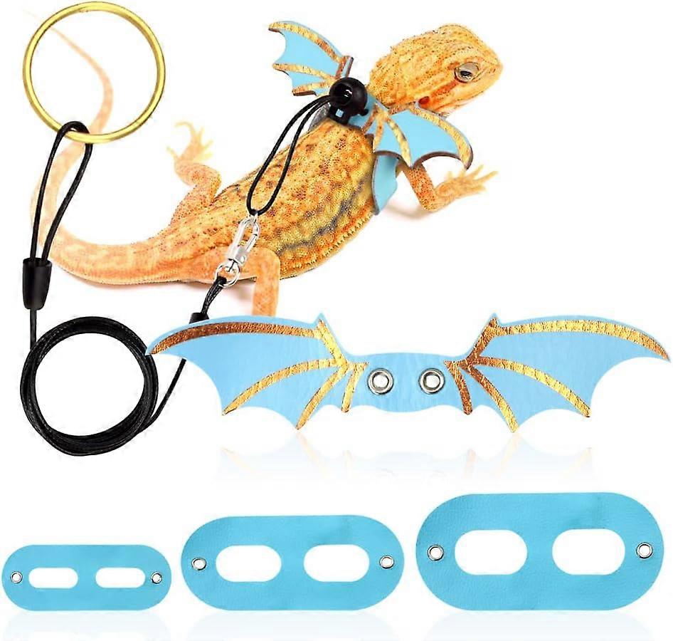 TCGG-Leash