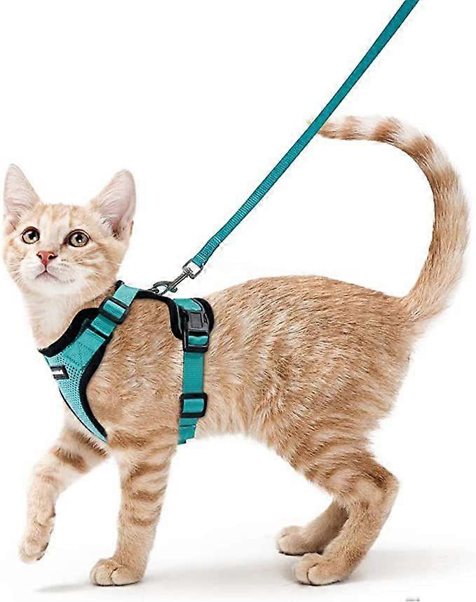 (xs) walking cat rope pull rope cat anti-break supplies anchor chain vest chest belt cat special rope for going out