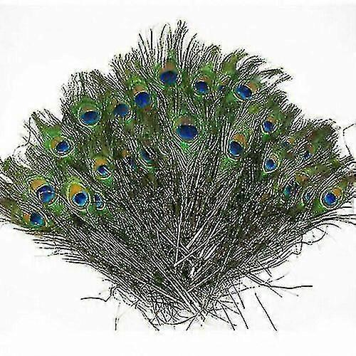100 قطعة ريش ذيل الطاووس الطبيعي 10-12 'لباقة الديكور DIY