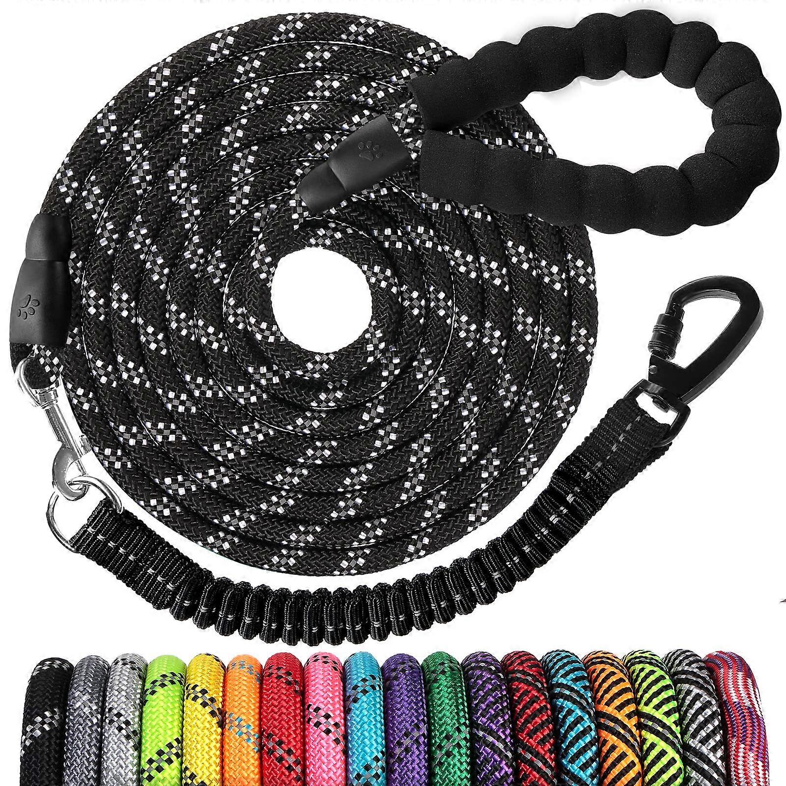 Dog Leash for Walking 10 FT Heavy Duty 1/3 Inch Nylon with Comfortable Padded Handle and Reflective Stitching