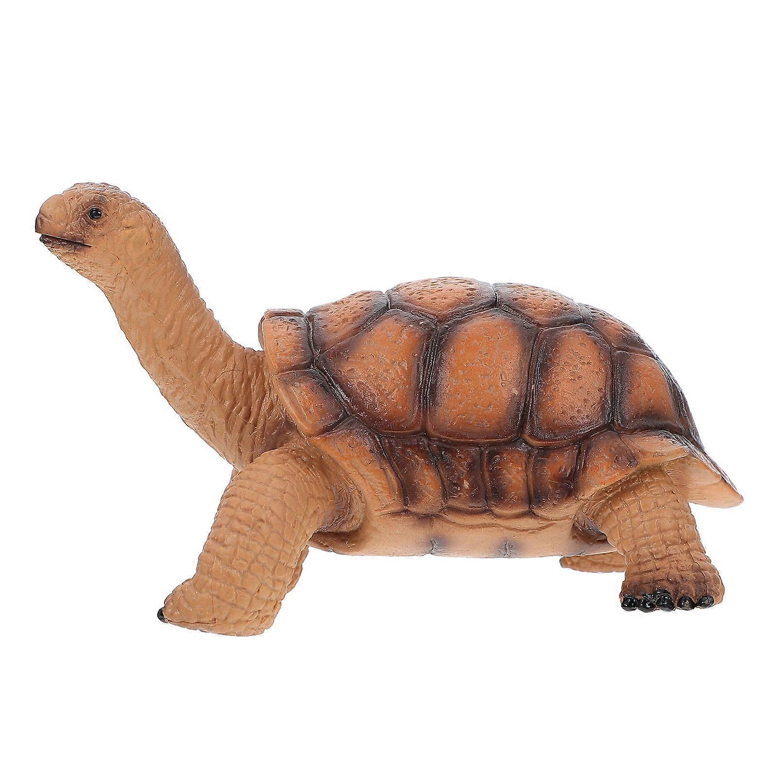 Realistic Plastic Tortoise Model for Decor Educational Use
