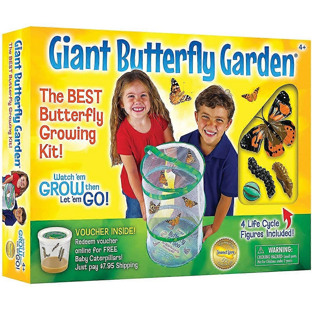 Insect Lore Giant Butterfly Garden Kit