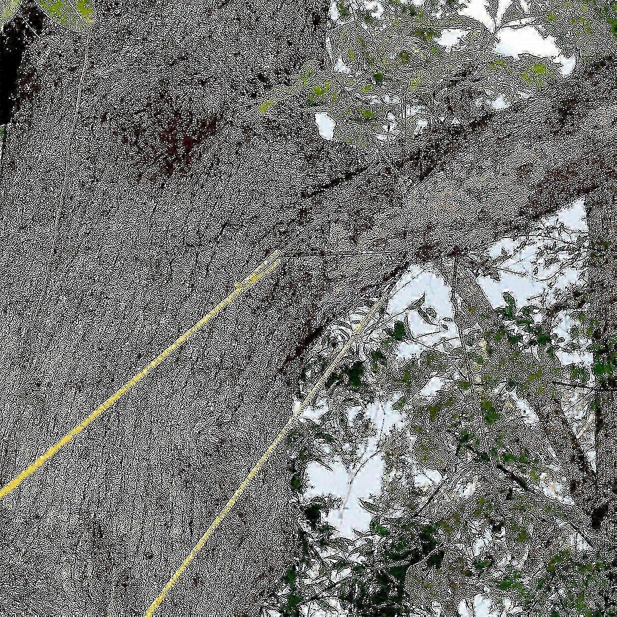 48' High Reach Tree Hand Rope Chain Saw Blades On Both Side 2025