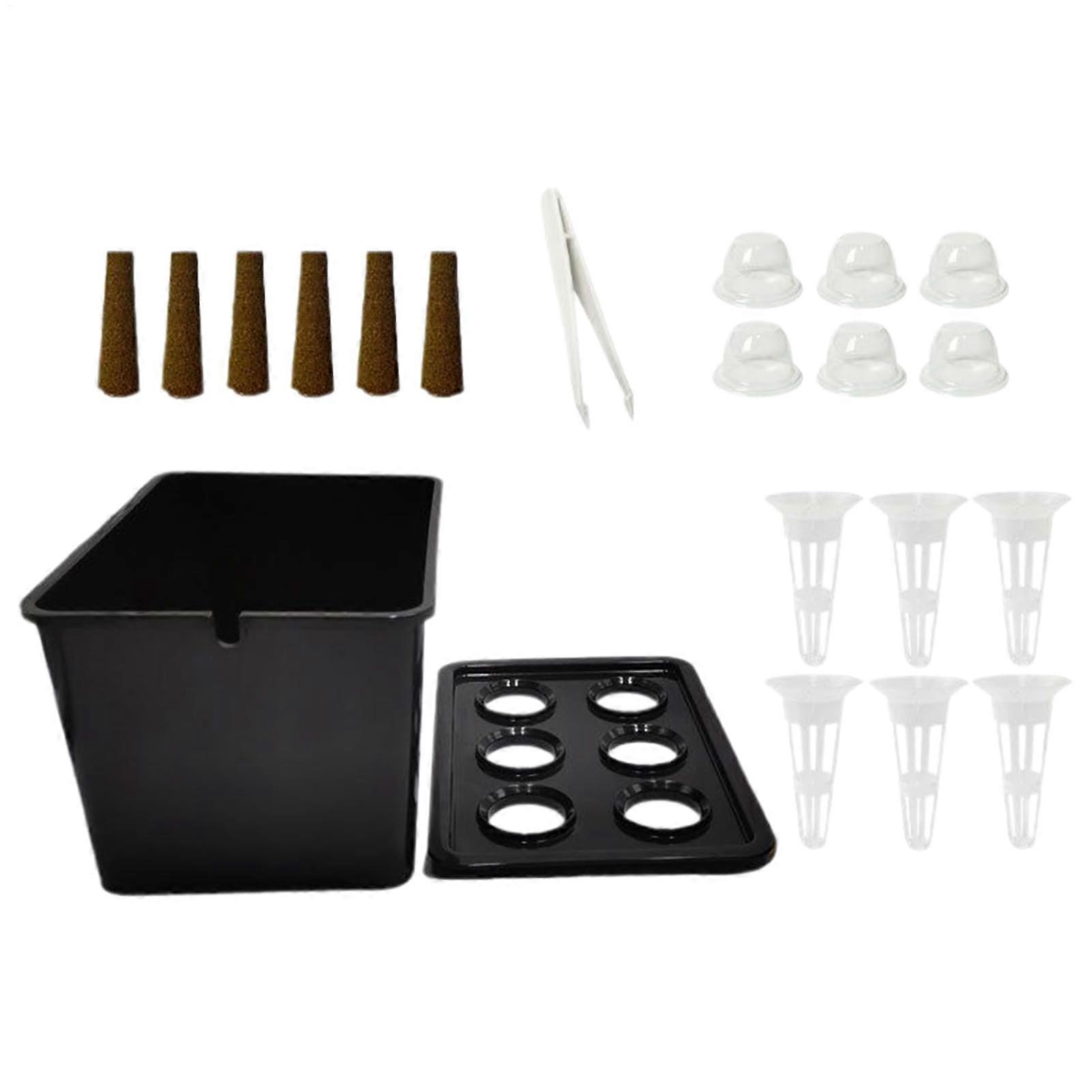 Hydroponic Growing System Indoor Garden Kit for Vegetables Lettuce Flowers MultiTier Black