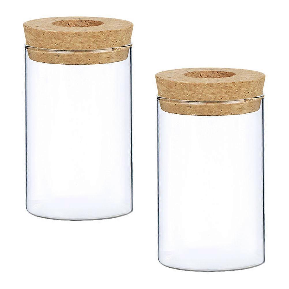 Glass Vase Flower Arrangement Container for Hydroponics 2Pcs Set