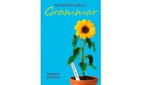 Das Lehrerhandbuch zu Grammatik