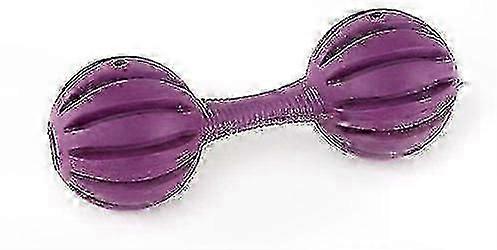 Interactive Dog Toy for Intelligence and Exercise - Durable Chew Bone for Canine Sport