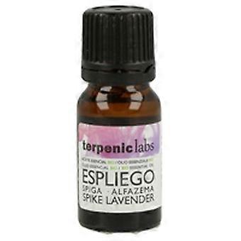 Essential Oil of English Lavender 10 ml of essential oil