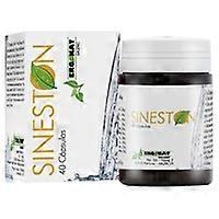 sineston urinary system 40 capsules