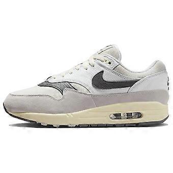 Nike Air Max 1 Light Bone Iron Grey HJ3498-007