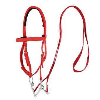 Nylon Halter Bridle with Reins Secure Equine Fit Riding Halter Bridle Set