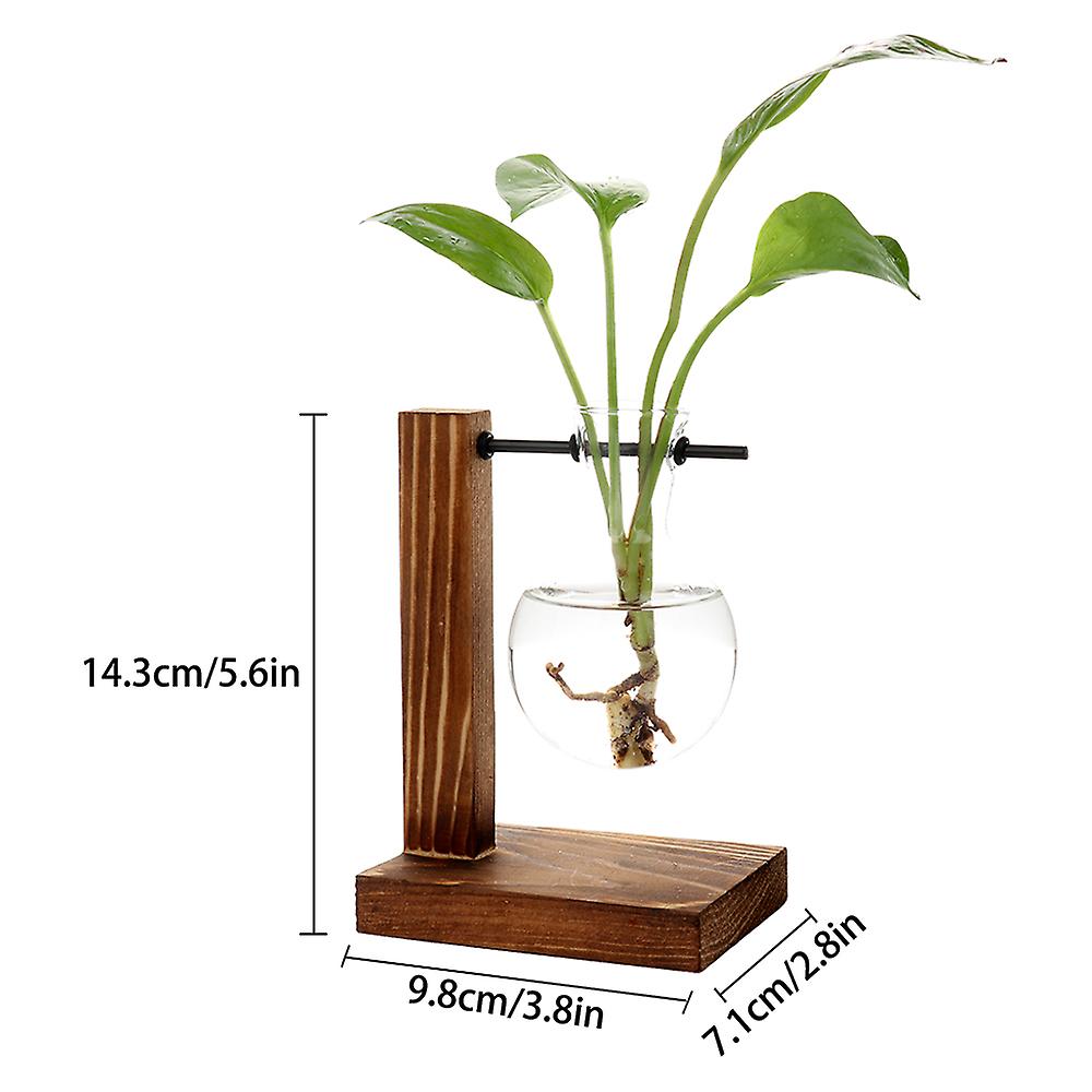Desktop glazen plantenbak bol vaas bol plant terrarium met retro massief houten stand voor
