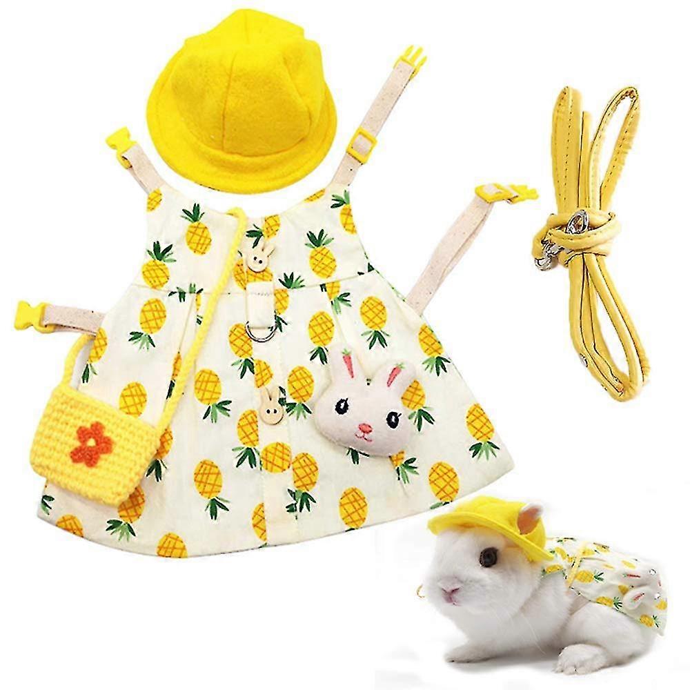 Chaleco de arnés para animales pequeños y conjunto de correa Comodidad sin tirón