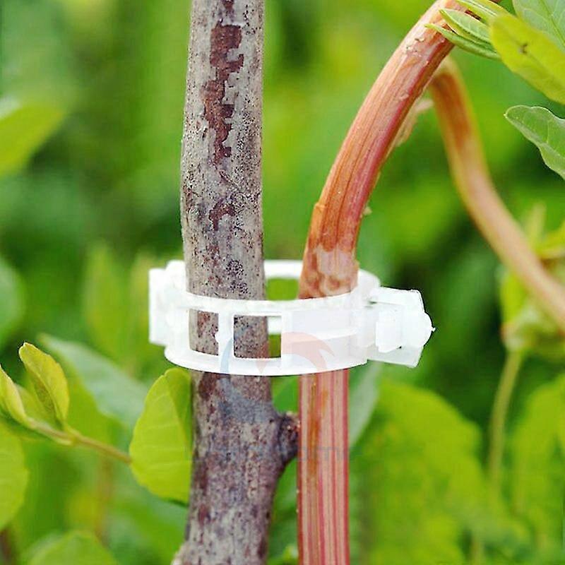 100pcs Tomato Veggie Garden Plant Support Clips For Trellis Twine Greenhouse Invernadero