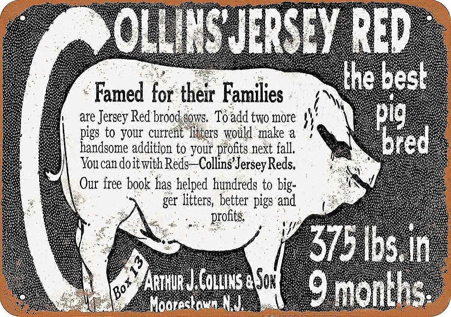 Vintage olhar engraçado metal sinal de lata 8x12 polegadas ou 12x16 polegadas, hula menina na costa Aloha Hawaii Sign, para L