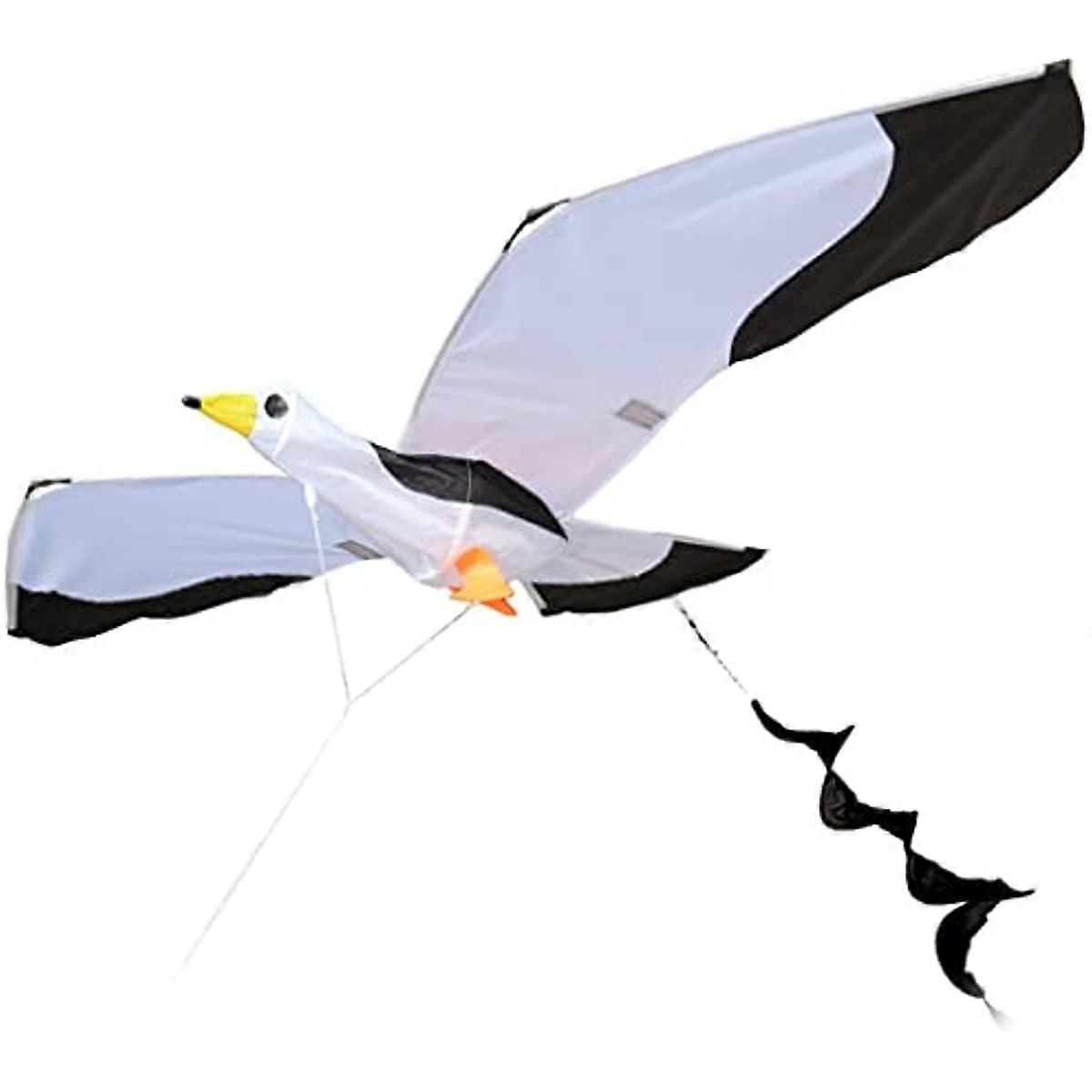 パーフェクラン、大きなカモメ、ロングテール、美しいビーチ、良い、大人、簡単