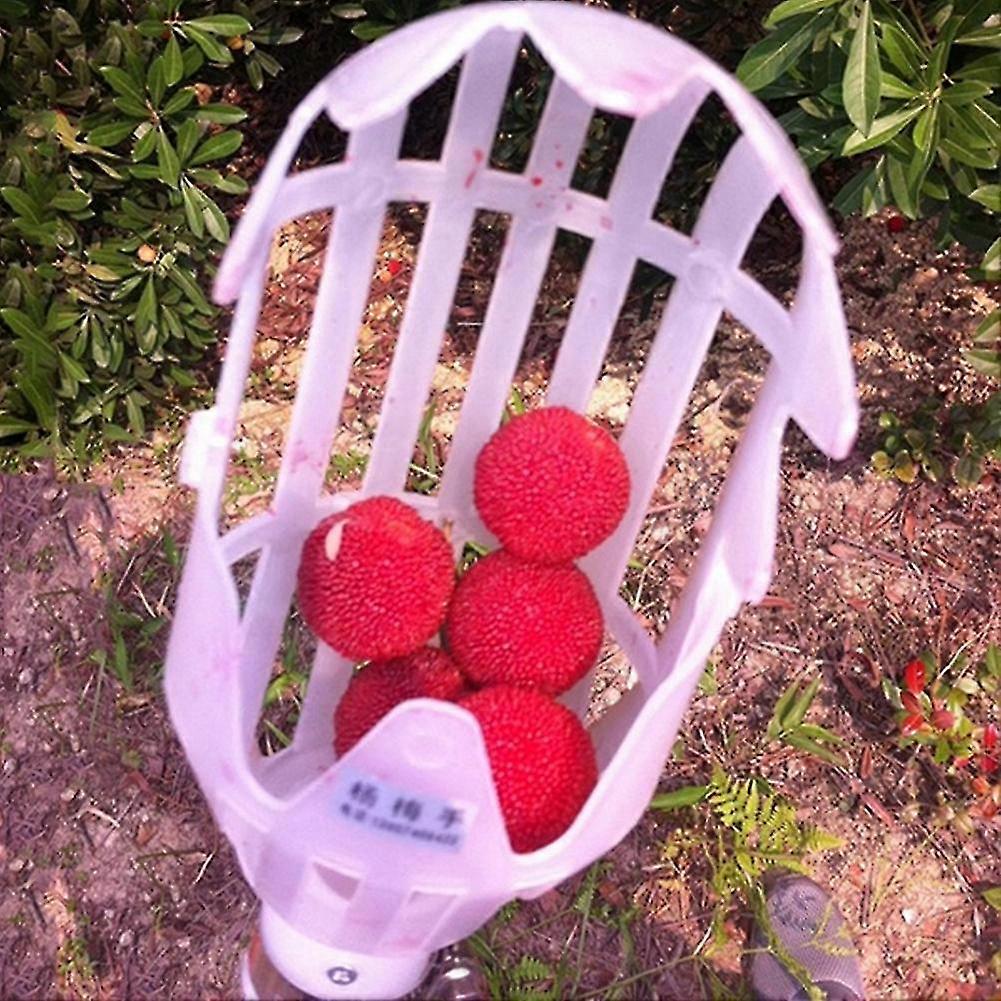 Practical Fruit Picker Gardening Picking Tool Useful Deep Basket Without Pole Tw