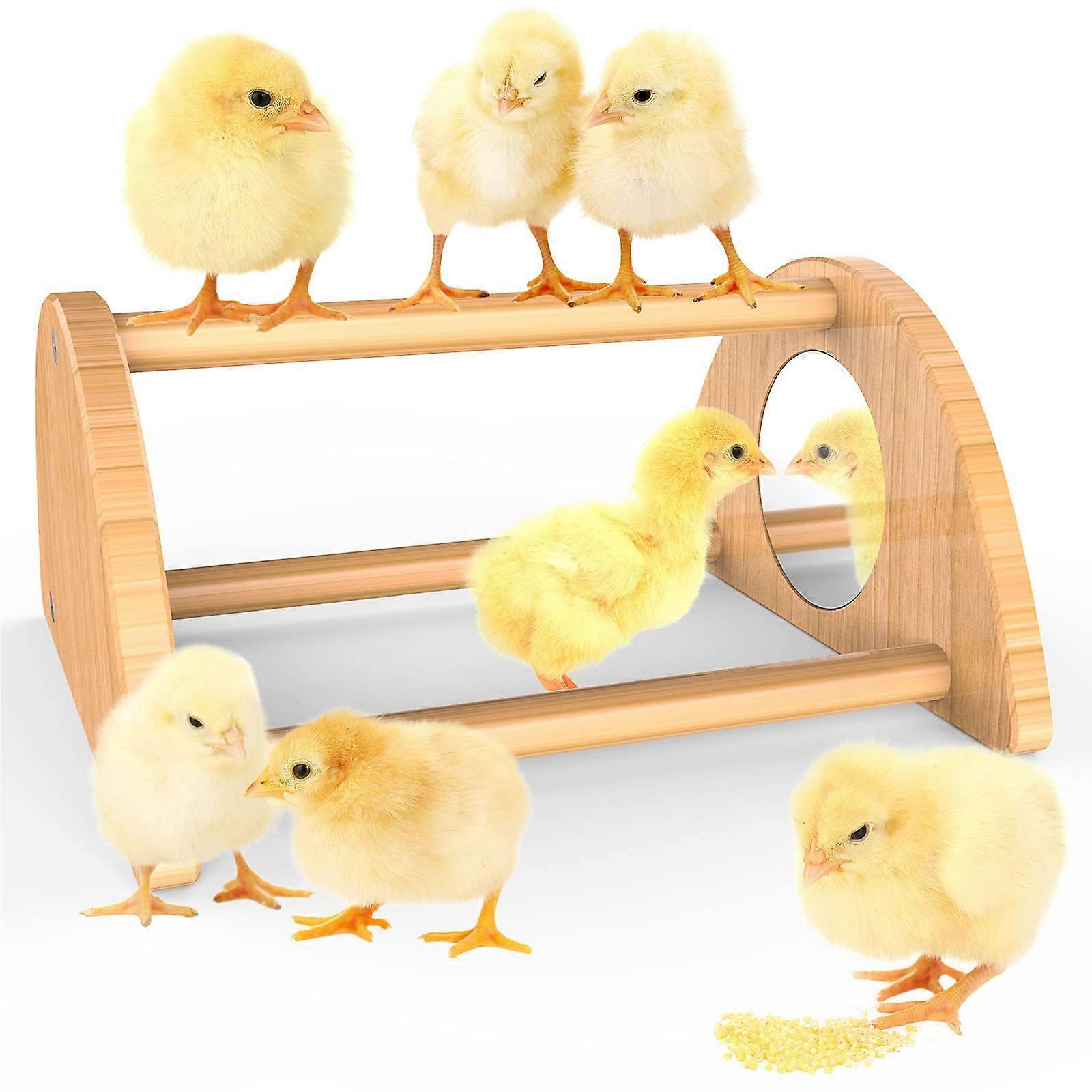 Mini Chick Perch com Espelho Forte Bamboo Roosting Bar para galinheiro e frango