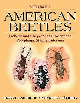 American Beetles Vol 1