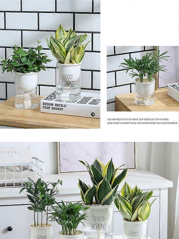 2023 New Upgrade Self-watering Planter Ceramic Glass Combo, Auto Irrigate Lazy Plant Flower Pot for Desk Window Garden
