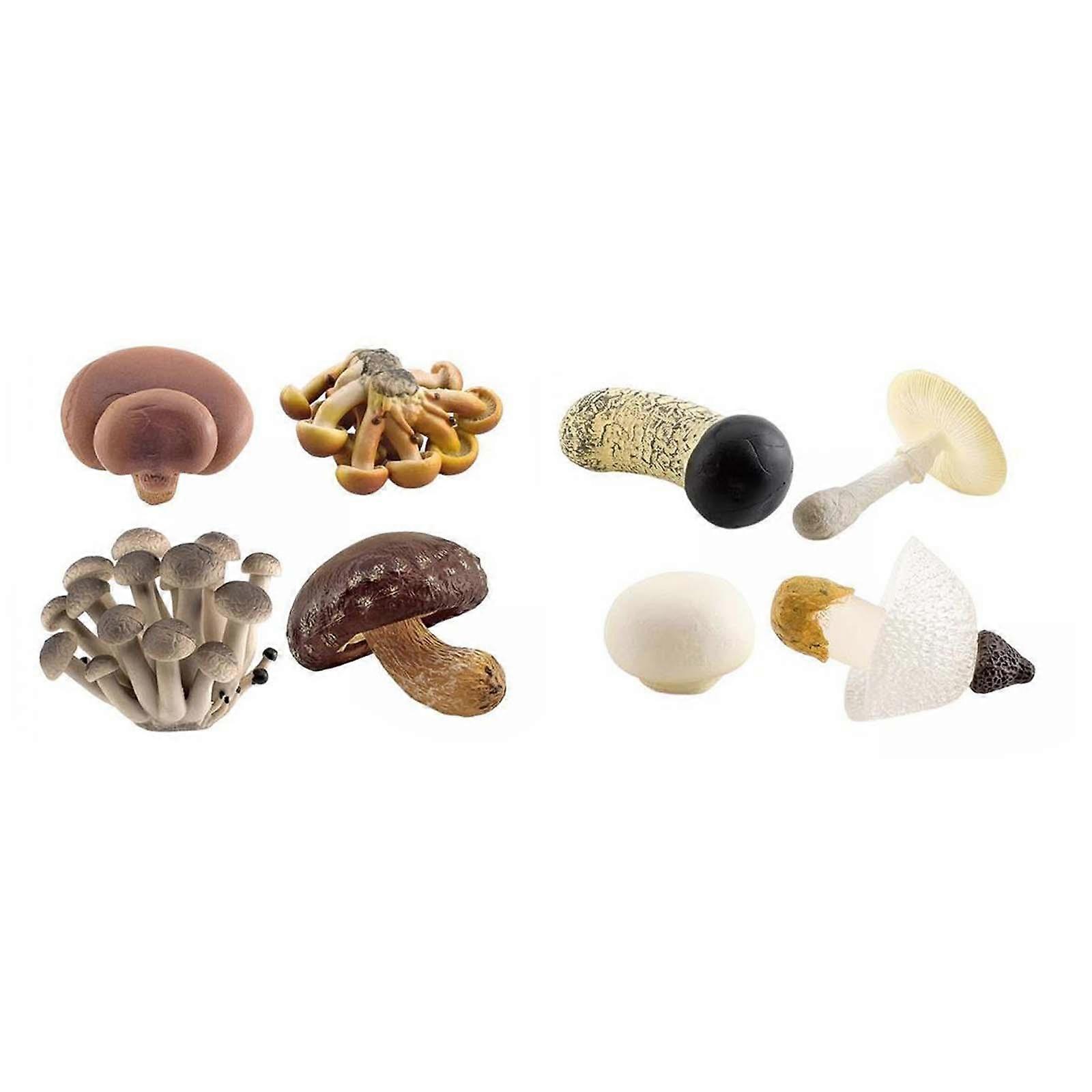 8Pcs Simulation Model Decoration Props for Kindergarten DIY