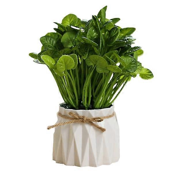 Plastic pots, grass balls, green plants, potted plants