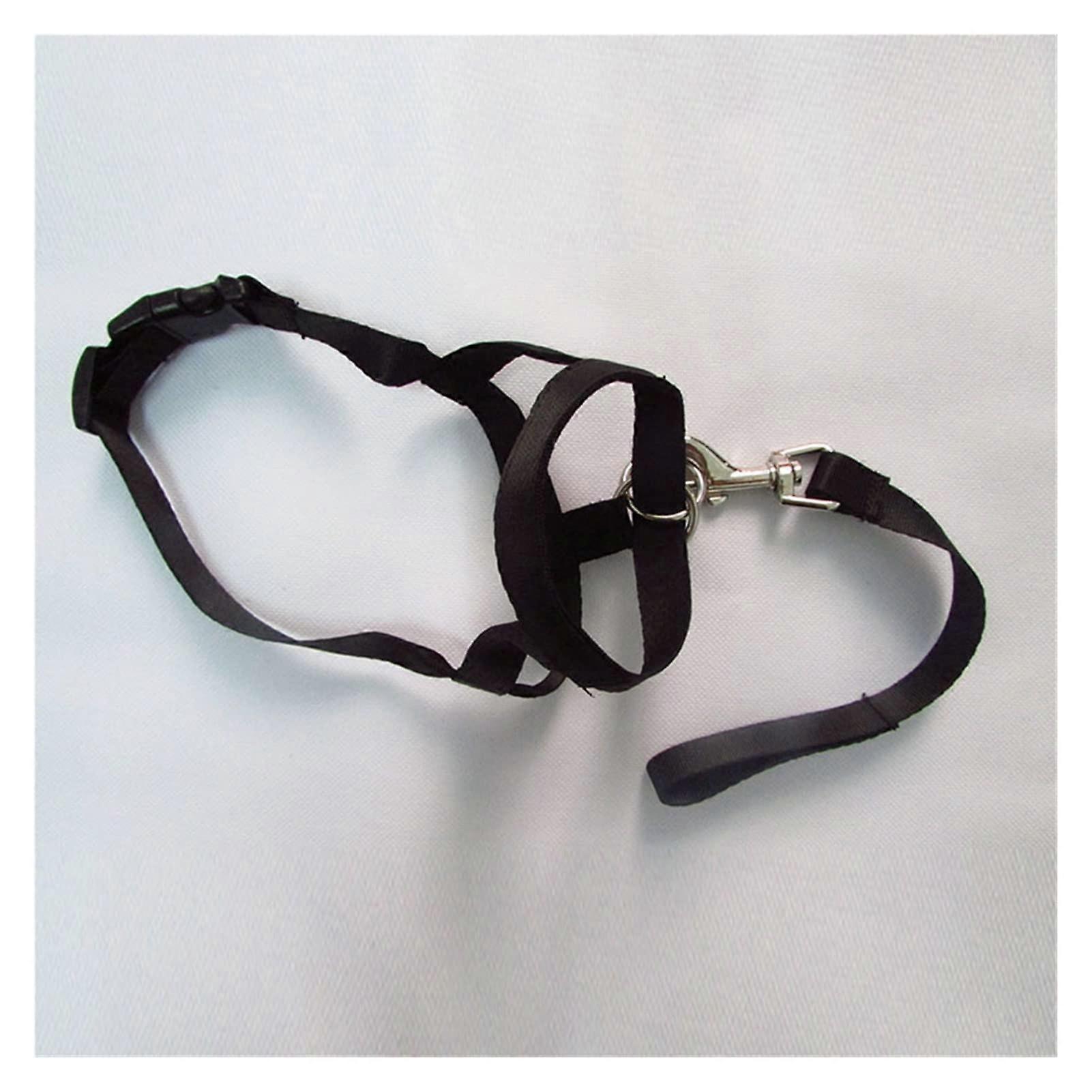 Harness Adjustable Muzzle Dog Halter Leader Belt Dog Collar Head Collar No Pull Bite Straps Training Leash Leader (Color : Black, Size : XXL)