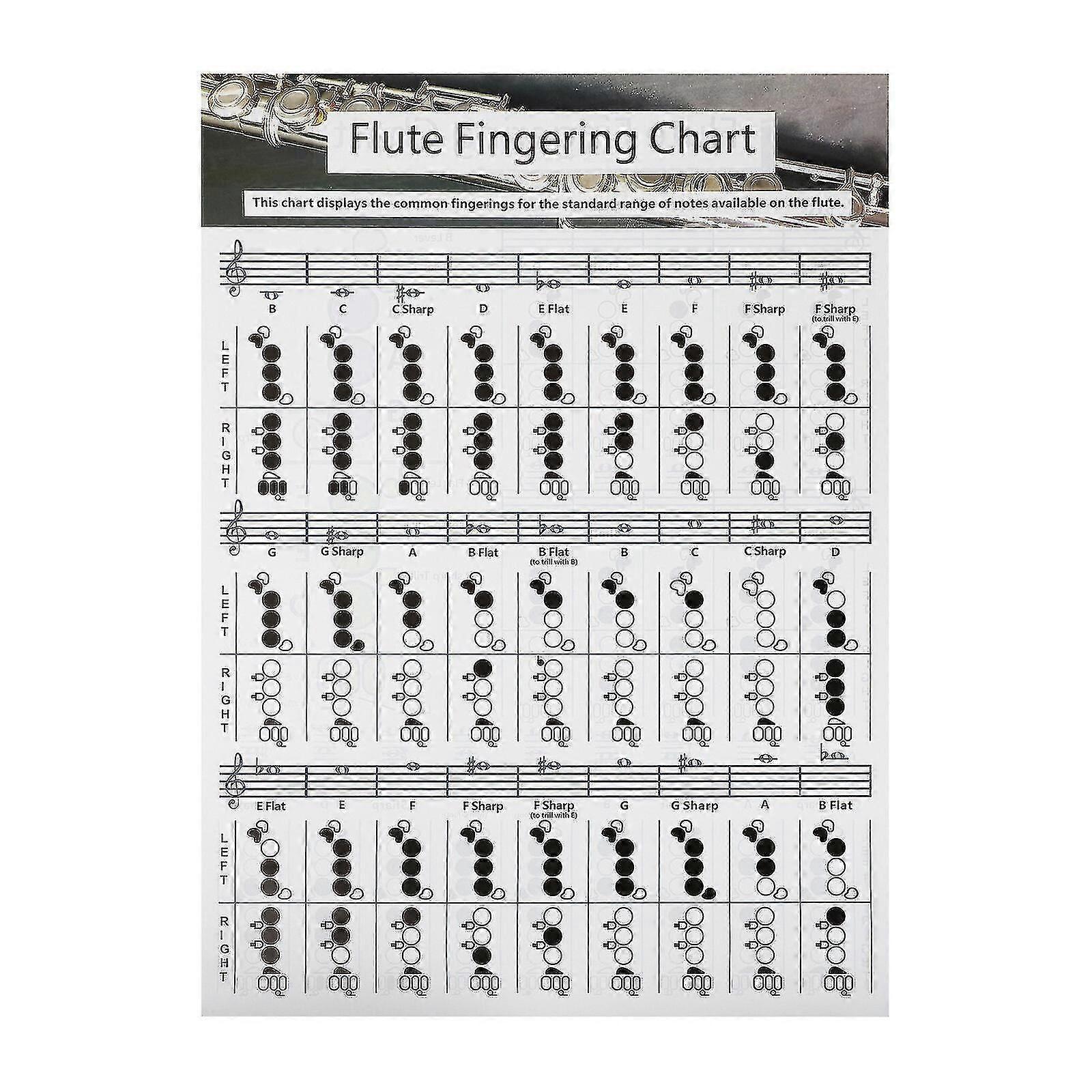 Taschengitarre, Klavierakkorde, Flöte, Blockflöte, Grifftabelle, Trillergriffe, Gitarrenakkorde, Poster, Flötendiagramm