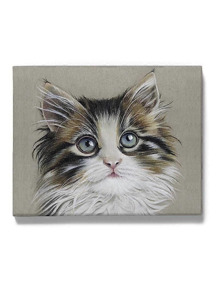 Kitten Portrait Ii Wrapped Canvas  -Lily Liama Designs,-ouyab1359
