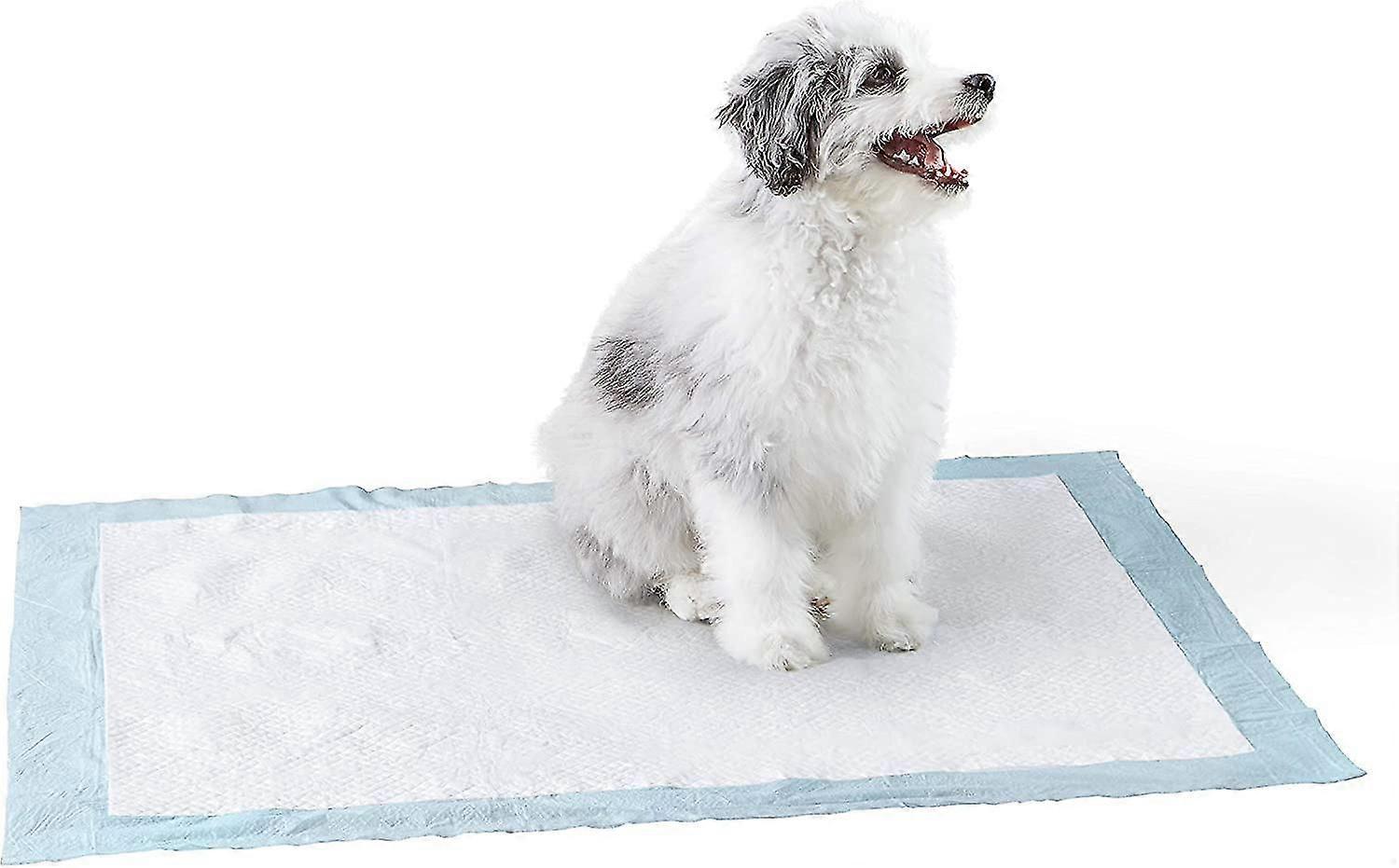 Dog And Puppy Pads, Leak-proof 5-layer Pee Pads With Quick-dry Surface For Potty Training