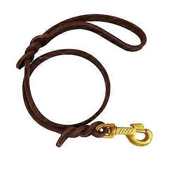 Guinzaglio per cani Qianruida, 76 cm, in pelle intrecciata, per cani di taglia grande.